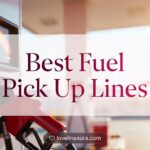 Fuel Pickup Lines