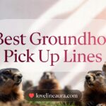 Groundhog Pickup Lines