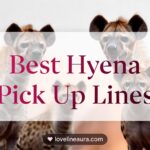 Hyena Pickup Lines