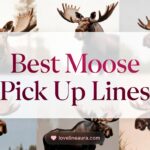 Moose Pickup Lines