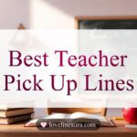 Teacher Pickup Lines