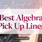 Algebra Pickup Lines