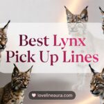 Lynx Pickup Lines