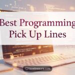 Programming Pickup Lines
