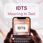 IDTS Meaning in Text