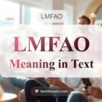 LMFAO Meaning in Text