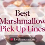 Marshmallow Pickup Lines