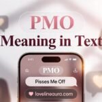 PMO Meaning in Text