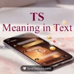 TS Meaning in Text