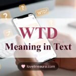 WTD Meaning in Text
