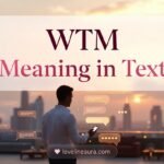 WTM Meaning in Text
