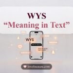 WYS Meaning in Text