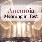 Anemoia Meaning in Text