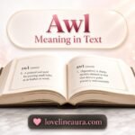 Awl Meaning in Text
