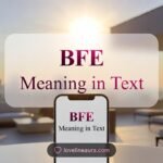 BFE Meaning in Text