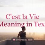 C’est la Vie Meaning in Text