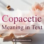 Copacetic Meaning
