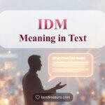 IDM Meaning in Text