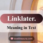 Linklater Meaning in Text