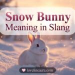 Snow Bunny Meaning Slang