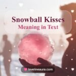 Snowball Kisses Meaning in Text