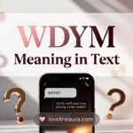 WDYM Meaning in Text