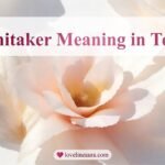 Whitaker Meaning in Text