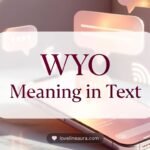 WYO Meaning in Text