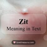 Zit Meaning in Text